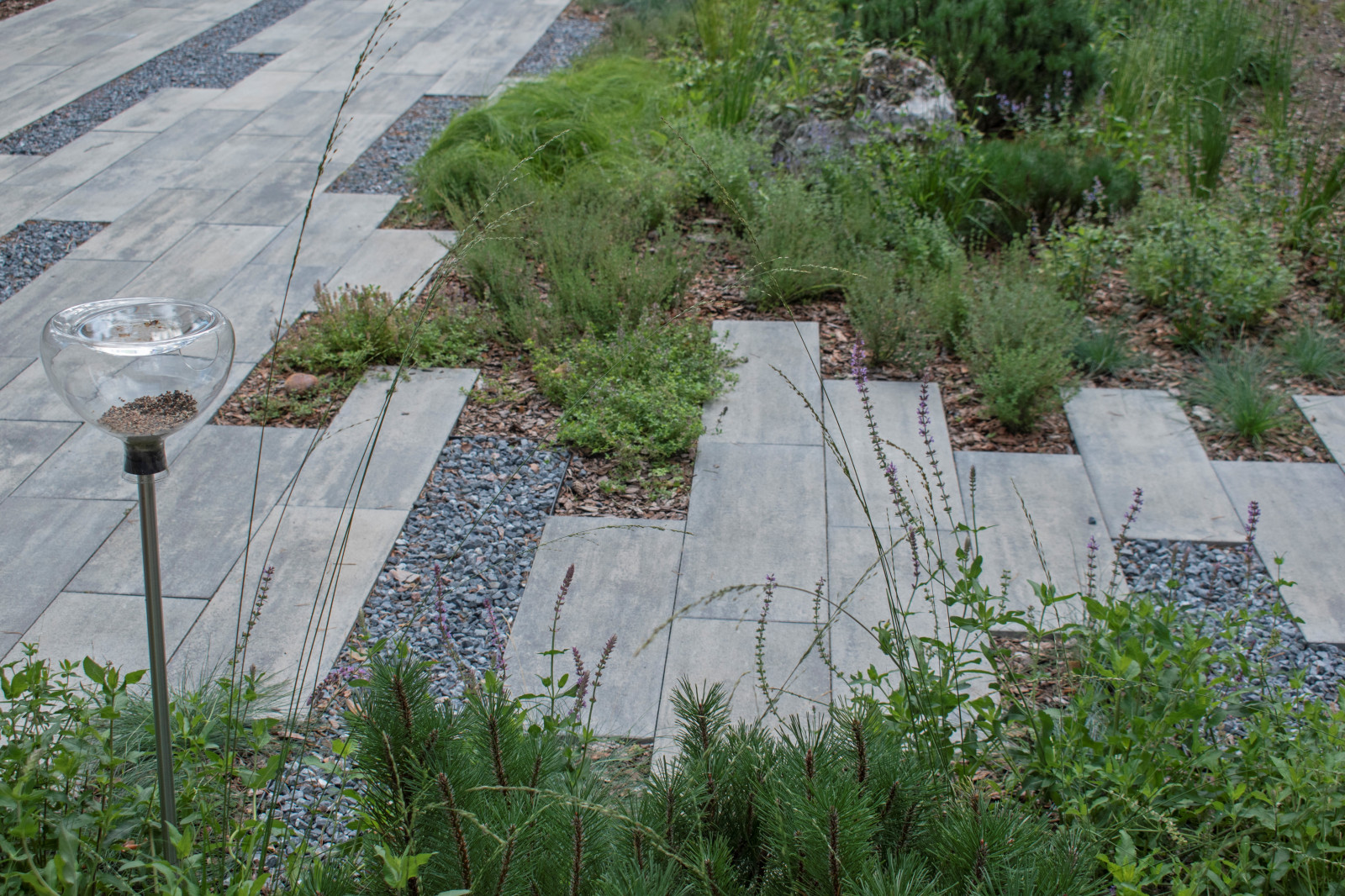 Проект "Волшебное озеро"