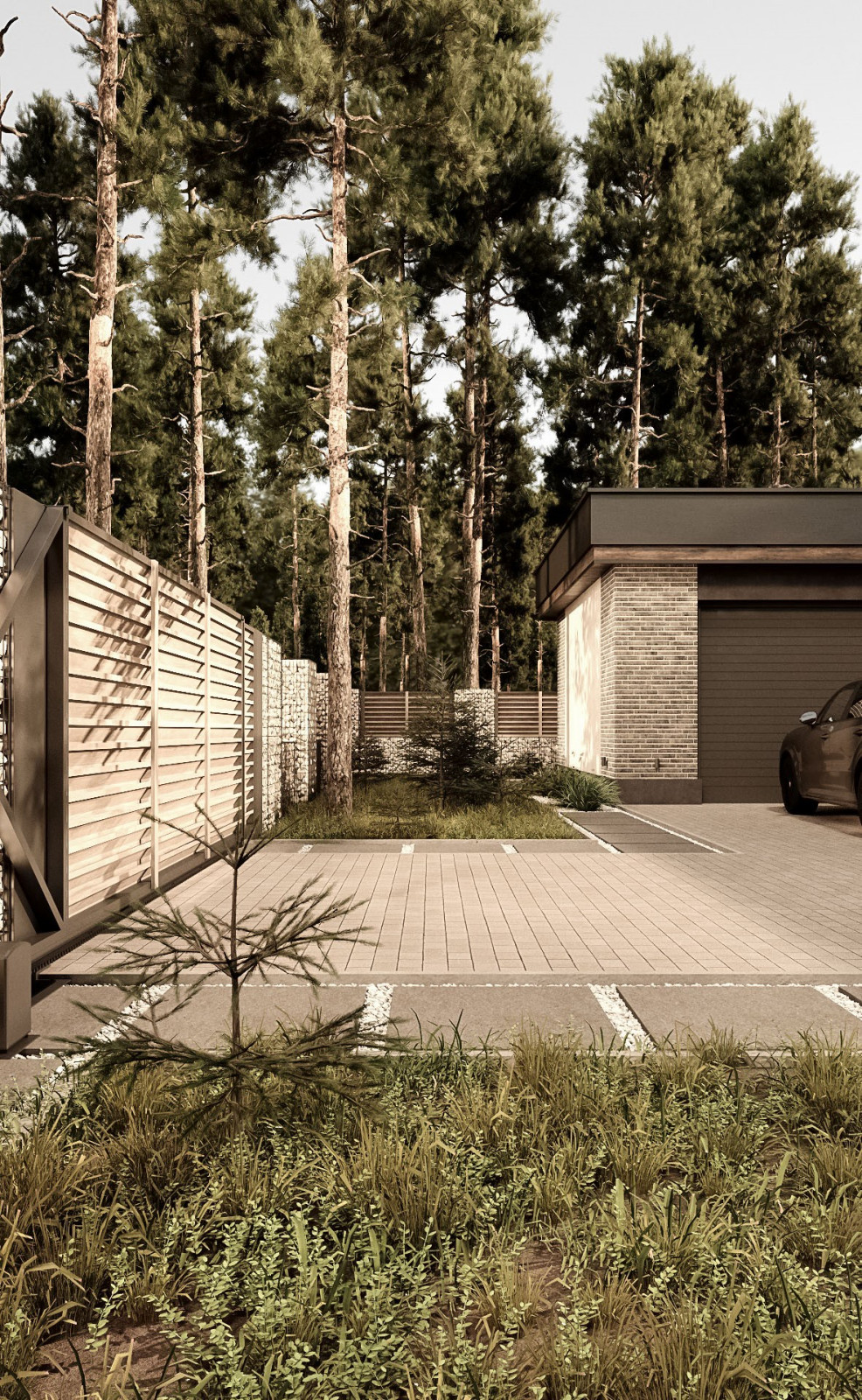 Фасады частного дома в Санкт-Петербурге