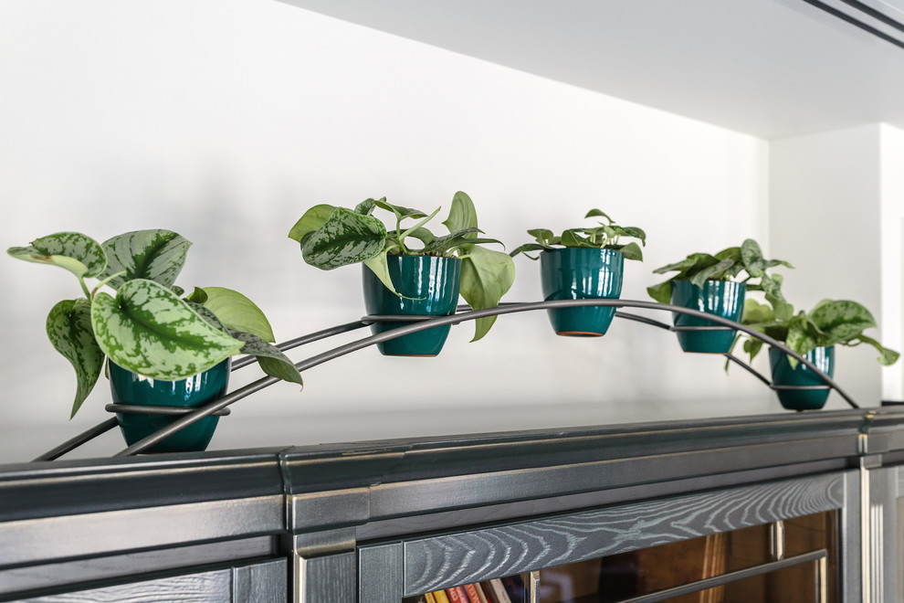 Озеленение холла помещения и кабинета руководителя