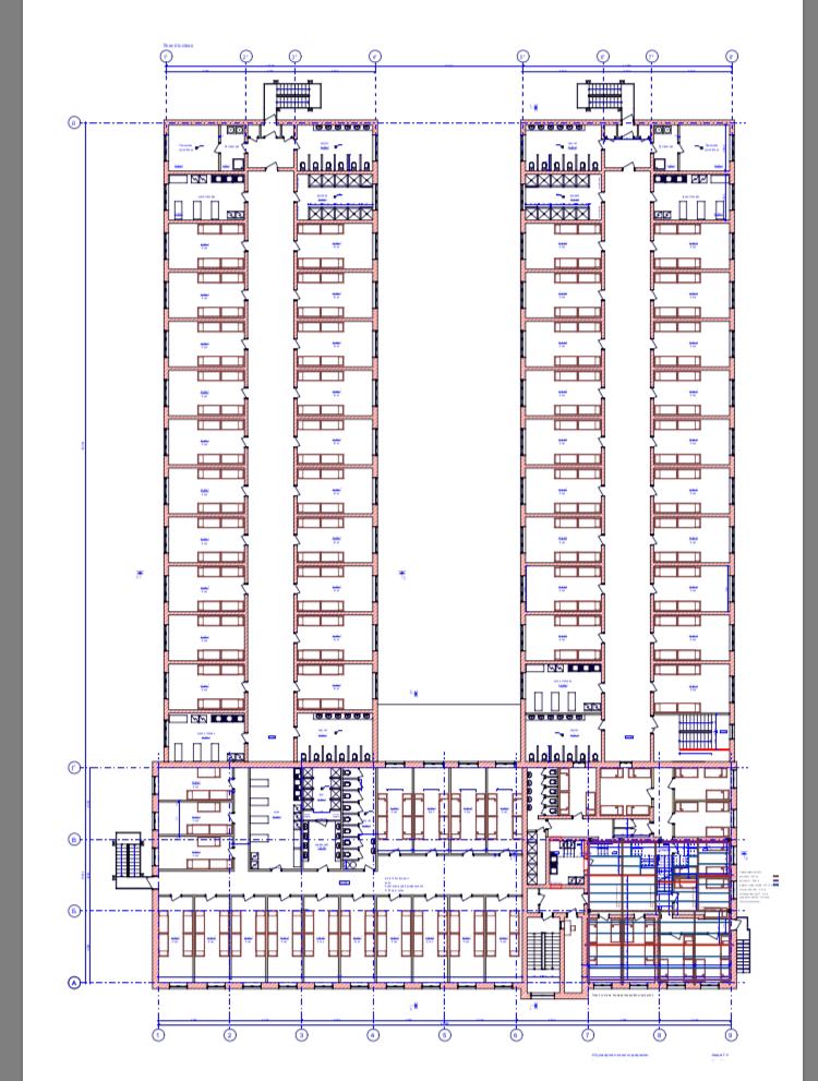 IMG_7123.PNG