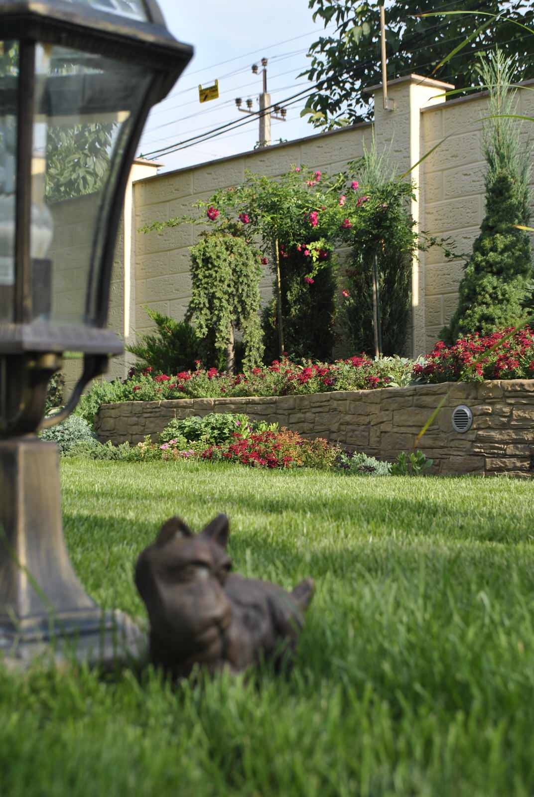 Милая собака под фонарем