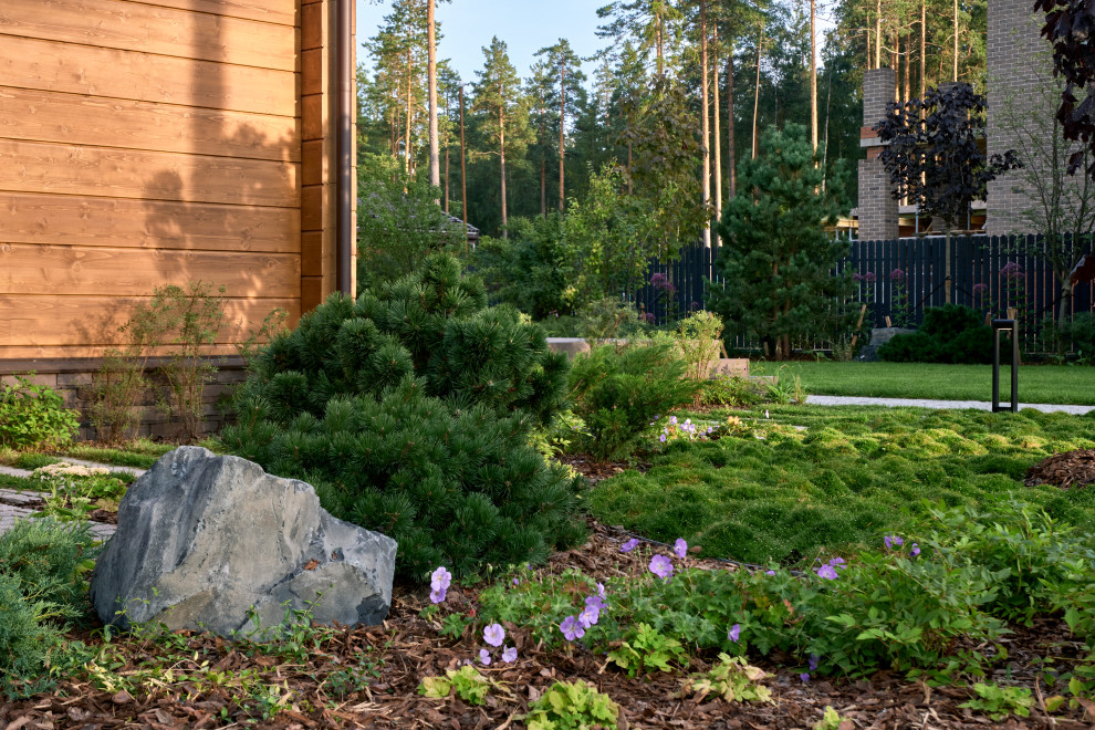 Репино парк