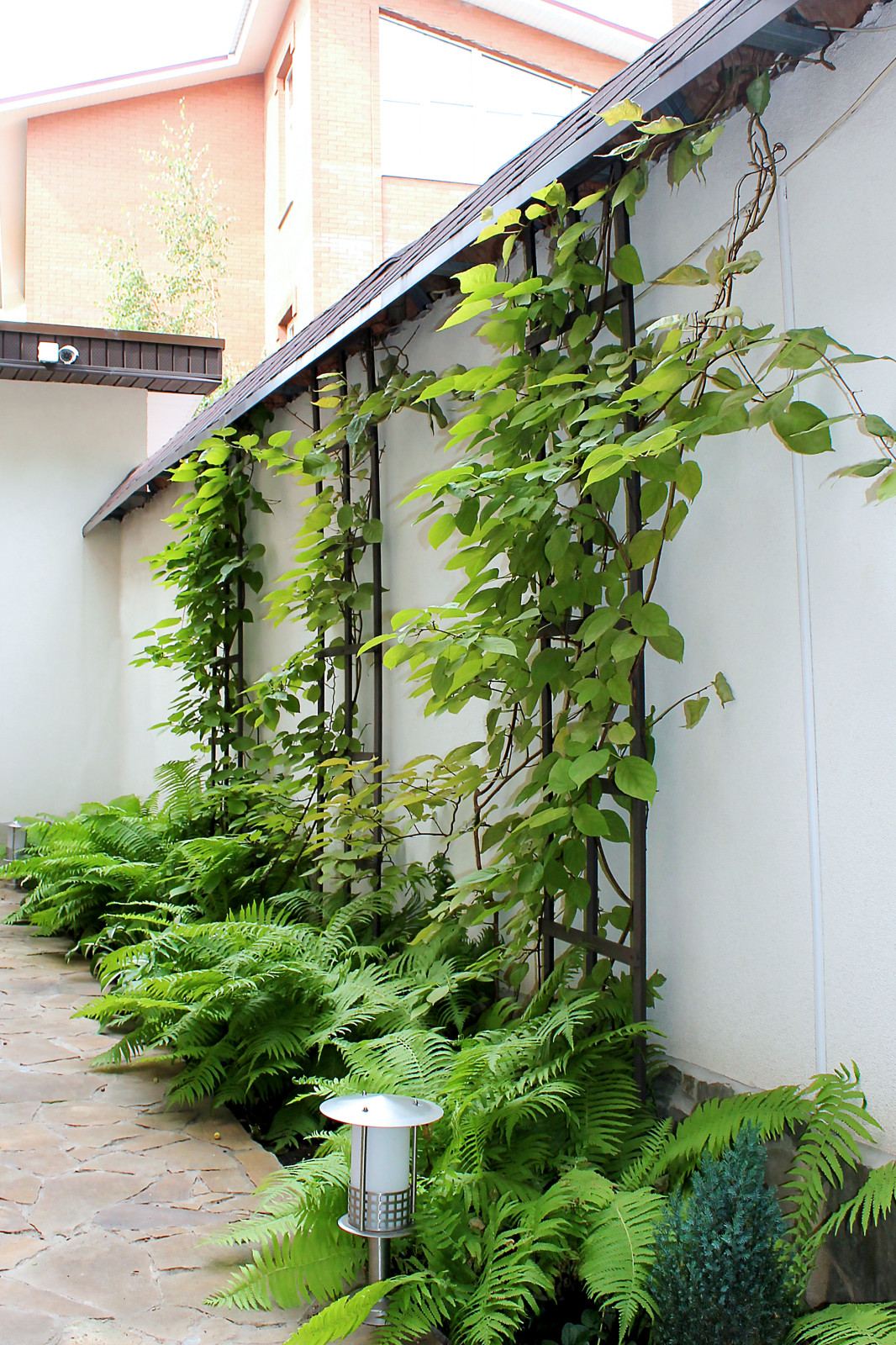 Обложка проекта: Полет