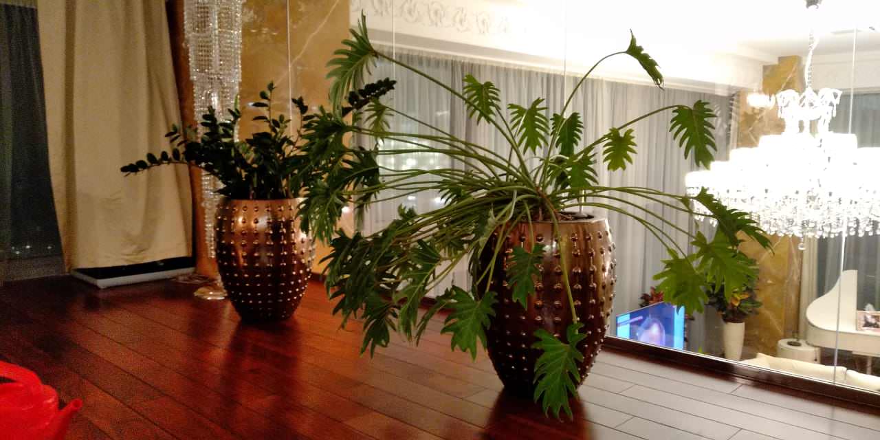 Аппартаменты в Москва Сити