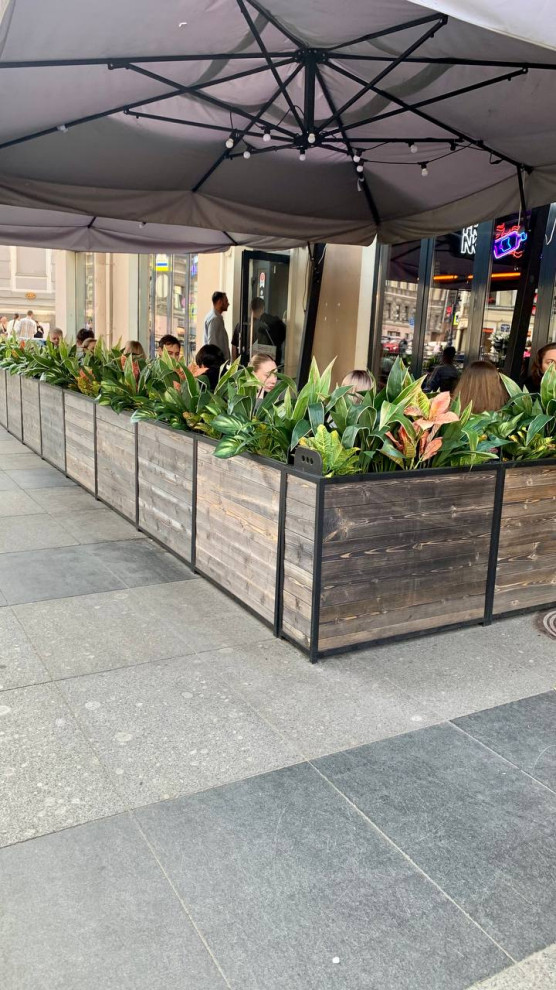 Ресторан FRANK на Рубинштейна г. Санкт-Петербург