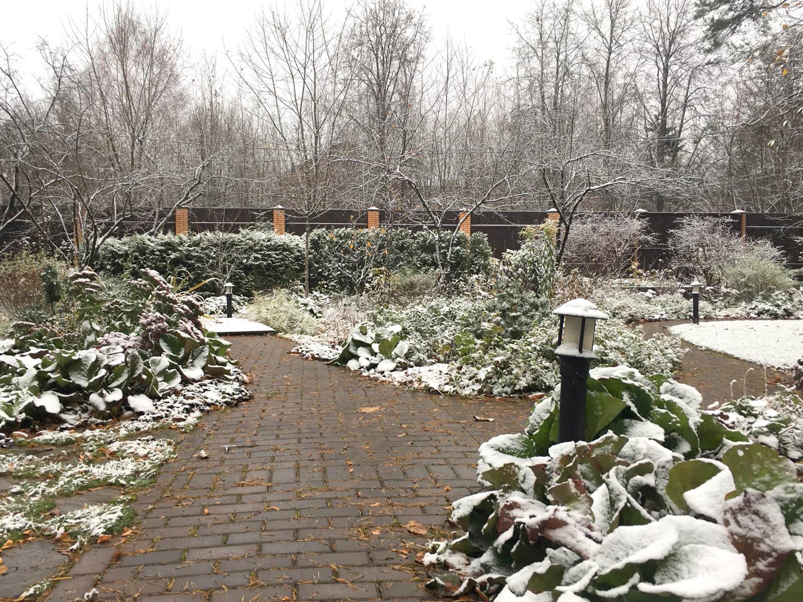 Белкин Сад. Предзимье 2019