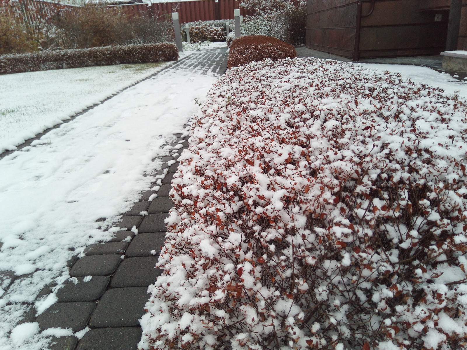 кп "Мартемьяново" - Профессиональный уход за садом - 100% качество!