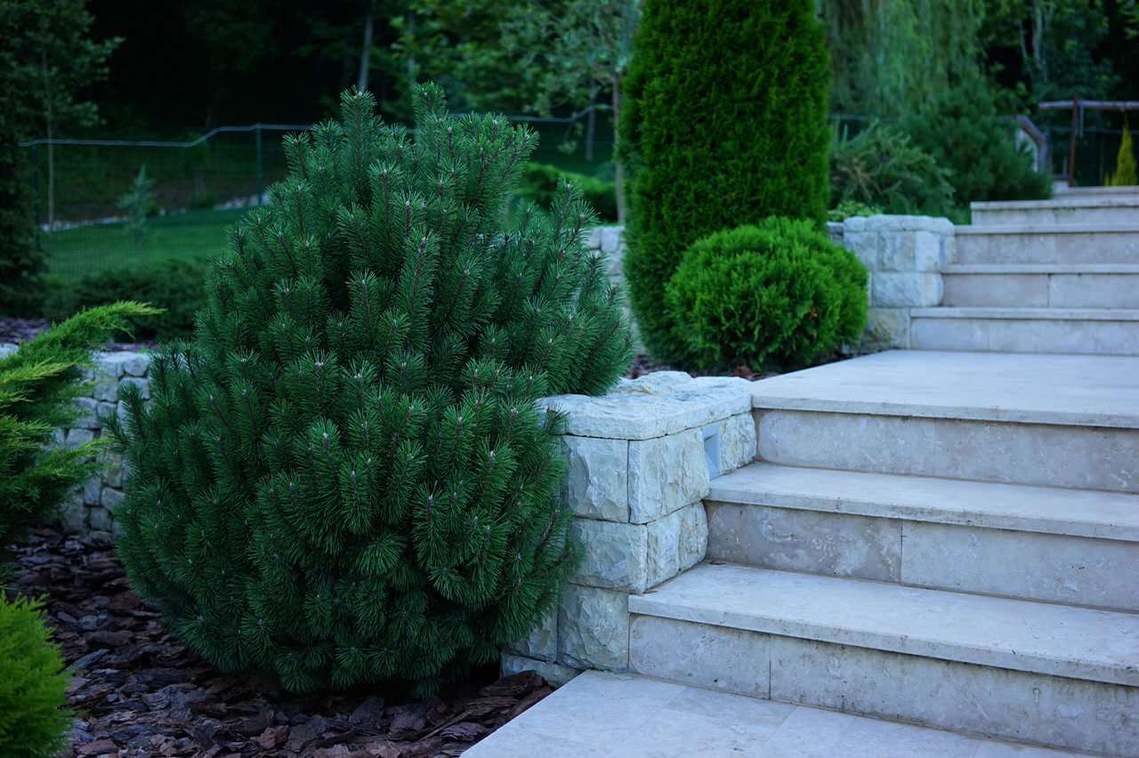 Лазурный Берег Сочи