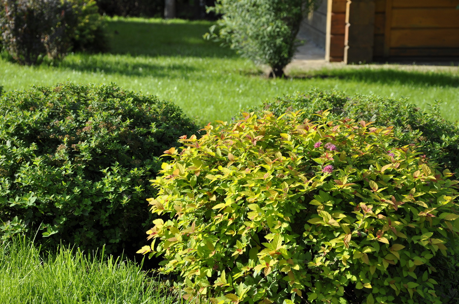 кп "Бенелюкс" - Уход за садом - 100% качество