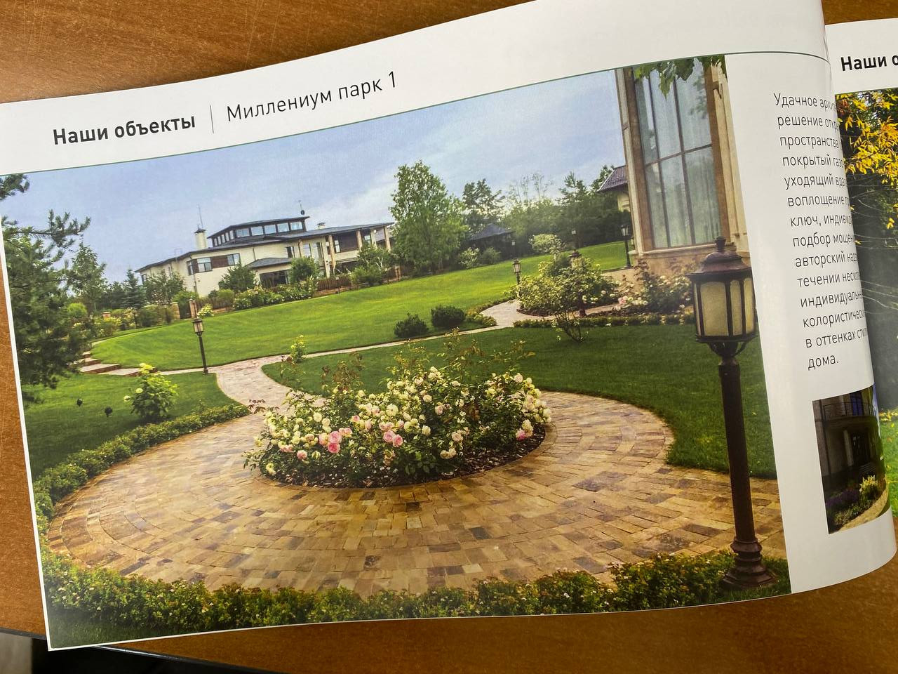 Публикации в прессе