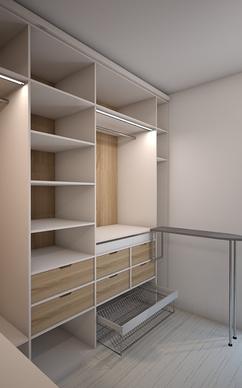 Обложка проекта: Дизайн проект гардеробной комнаты