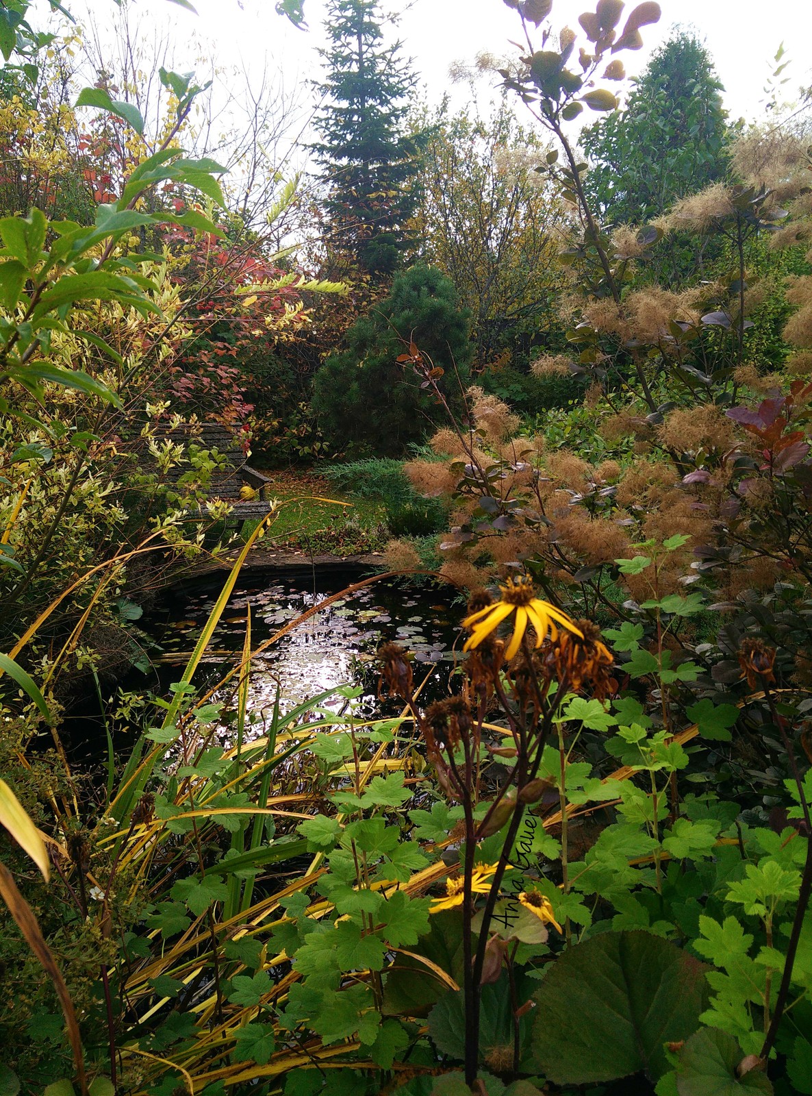 Красив в любое время года