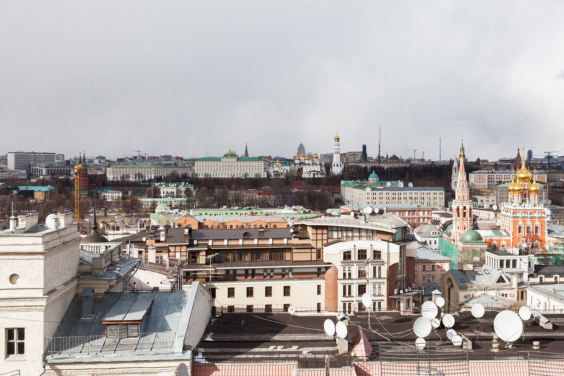 В гостях: Квартира с ученым котом и умопомрачительным видом