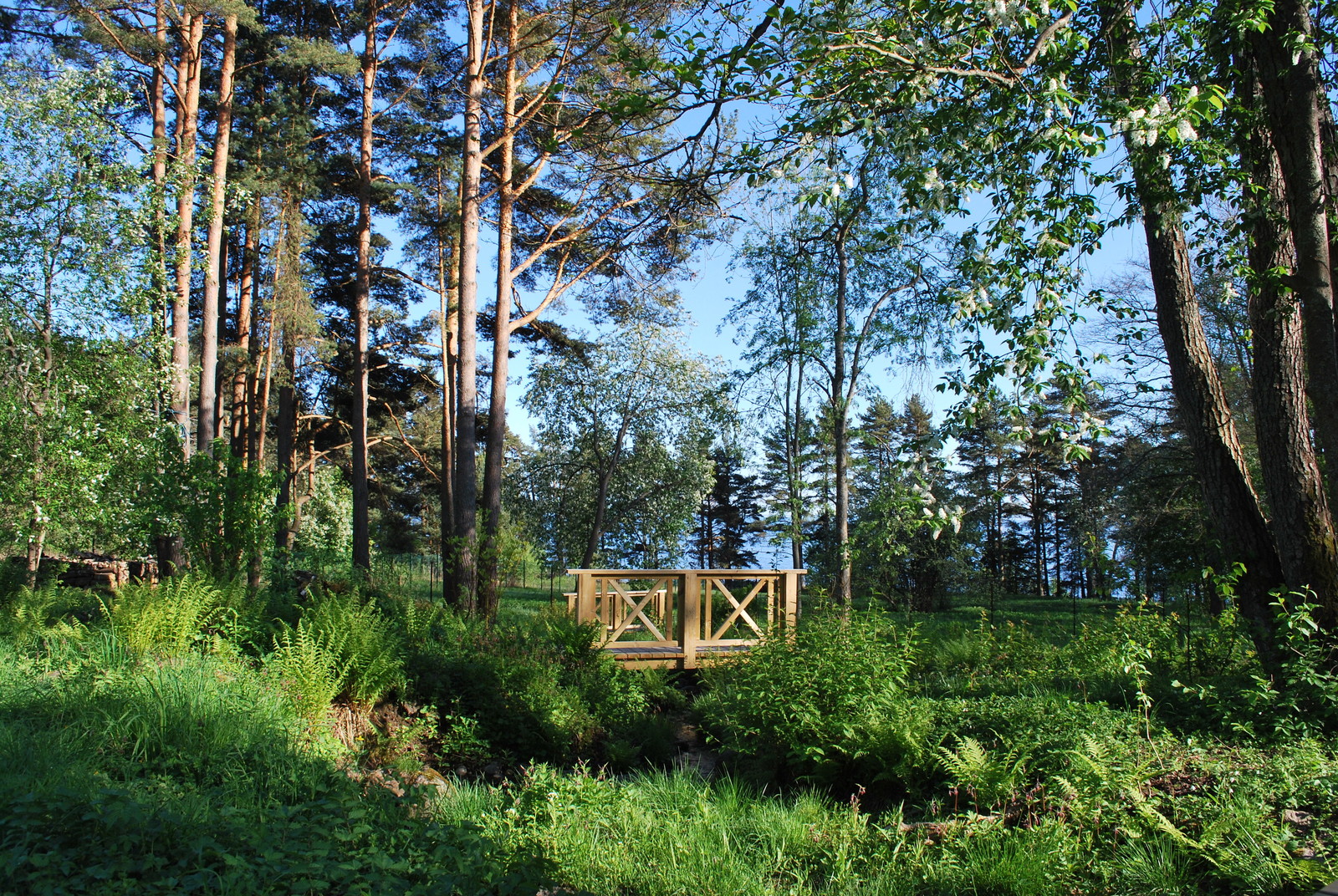 Сад натуралистического стиля