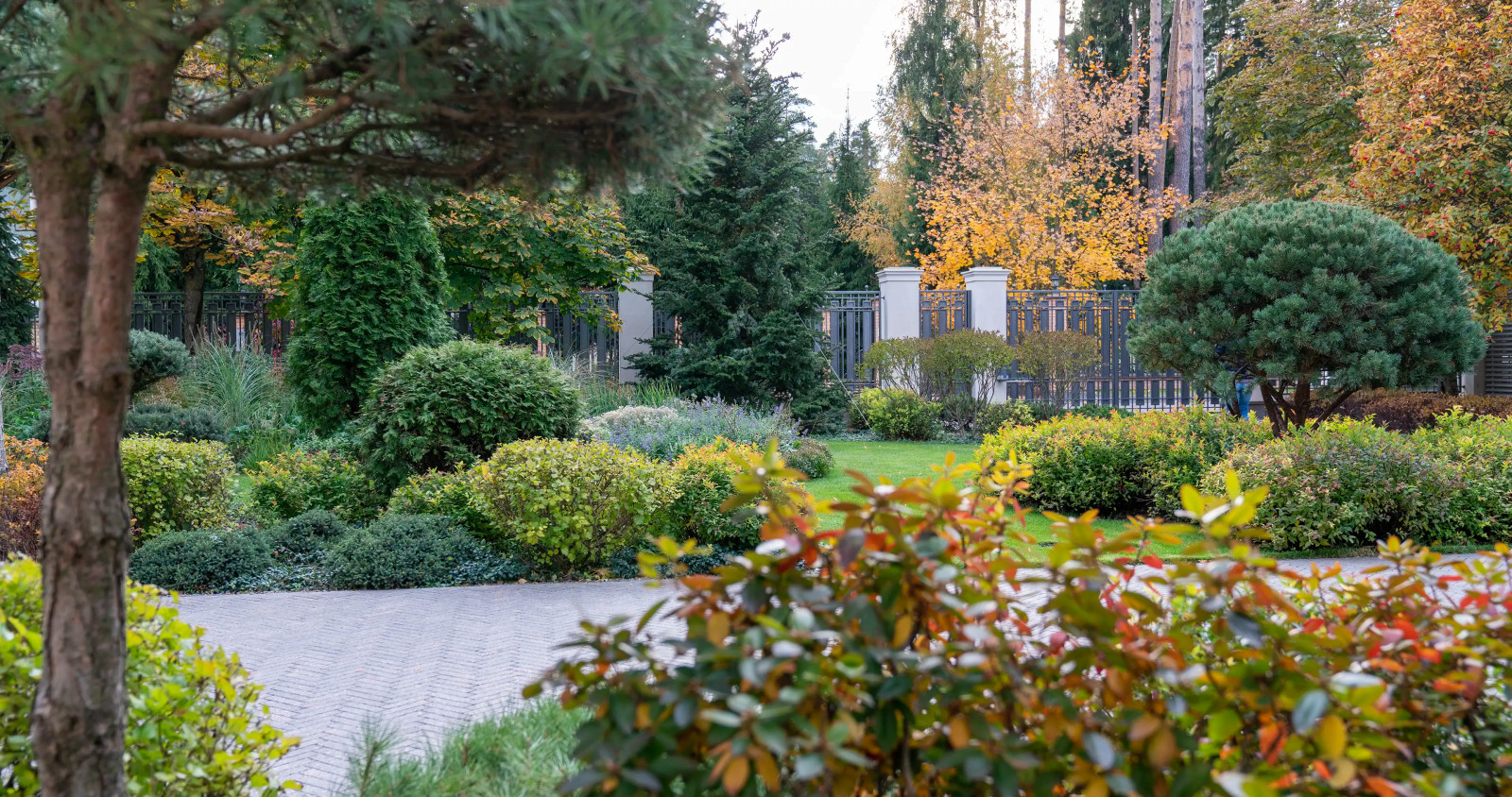 Очарование английского сада КП Балтия 2018 г