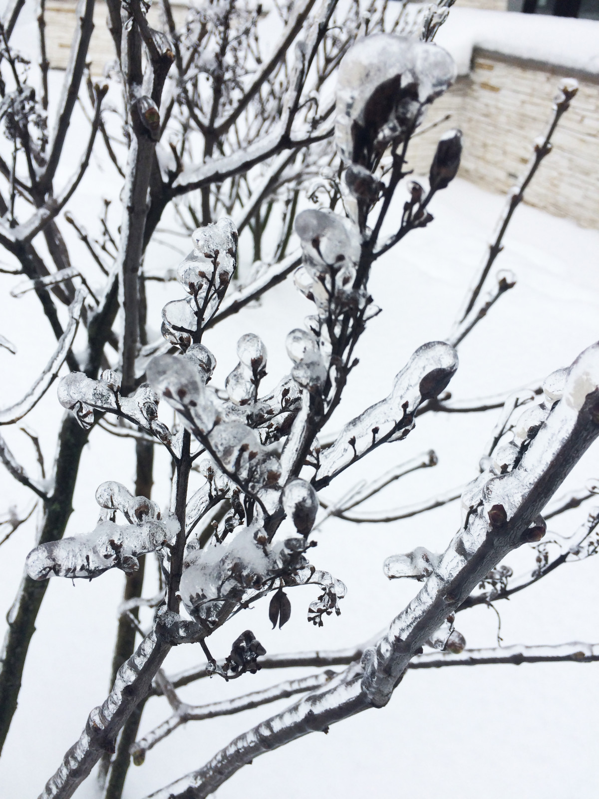 Зимний ландшафт