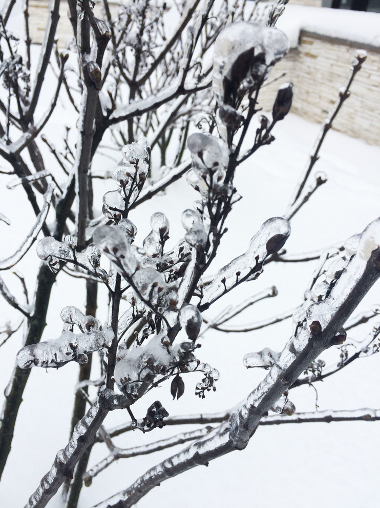 Зимний ландшафт