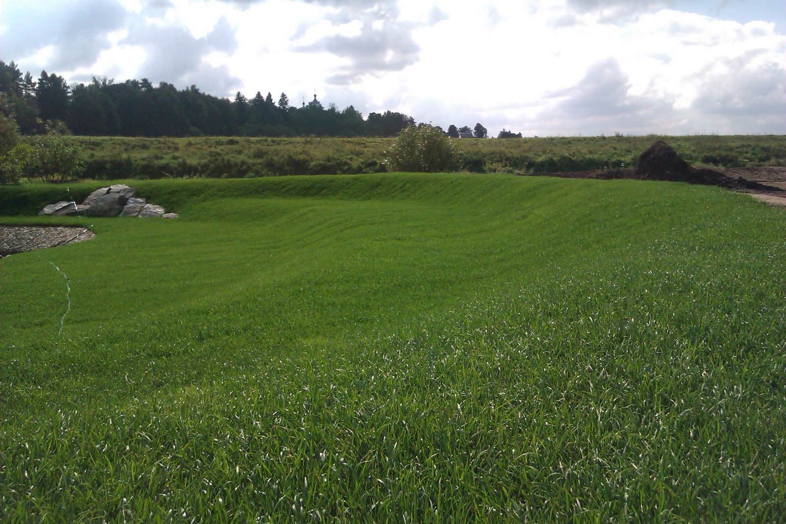 Ландшафт на Москва-реке