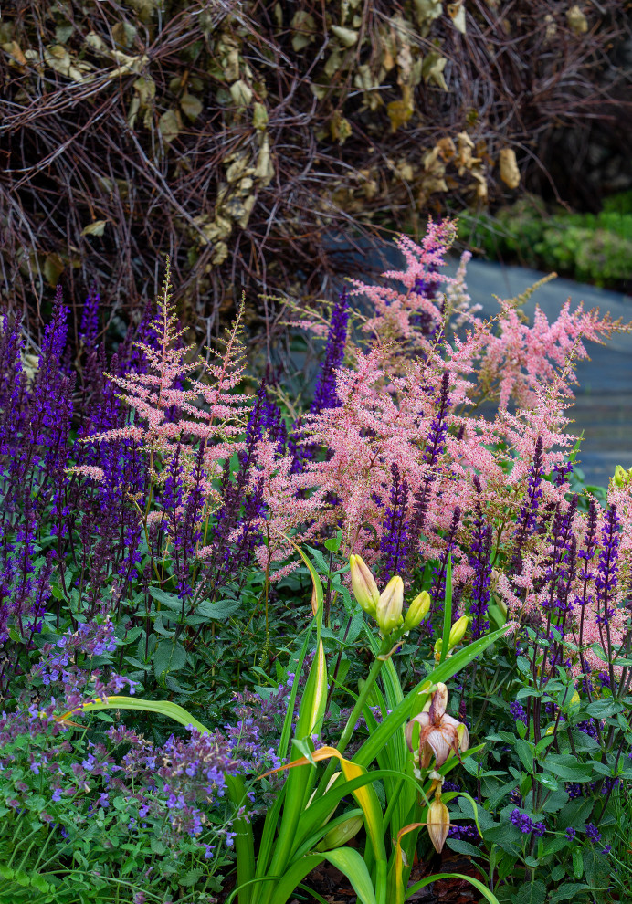 Фотосъемка Сада   по  Метрелинку на MFS 2019 Авторы М,Береснева М. ПРИНТЦ