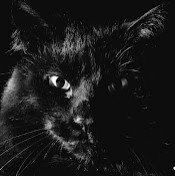 Денис Таскаев