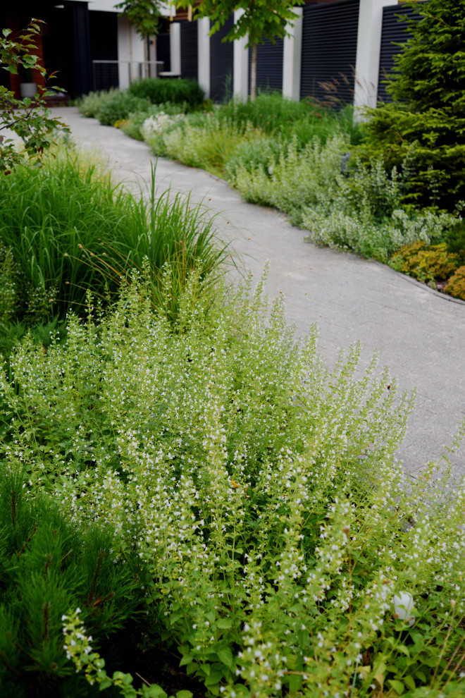 Сад с видом на Волгу