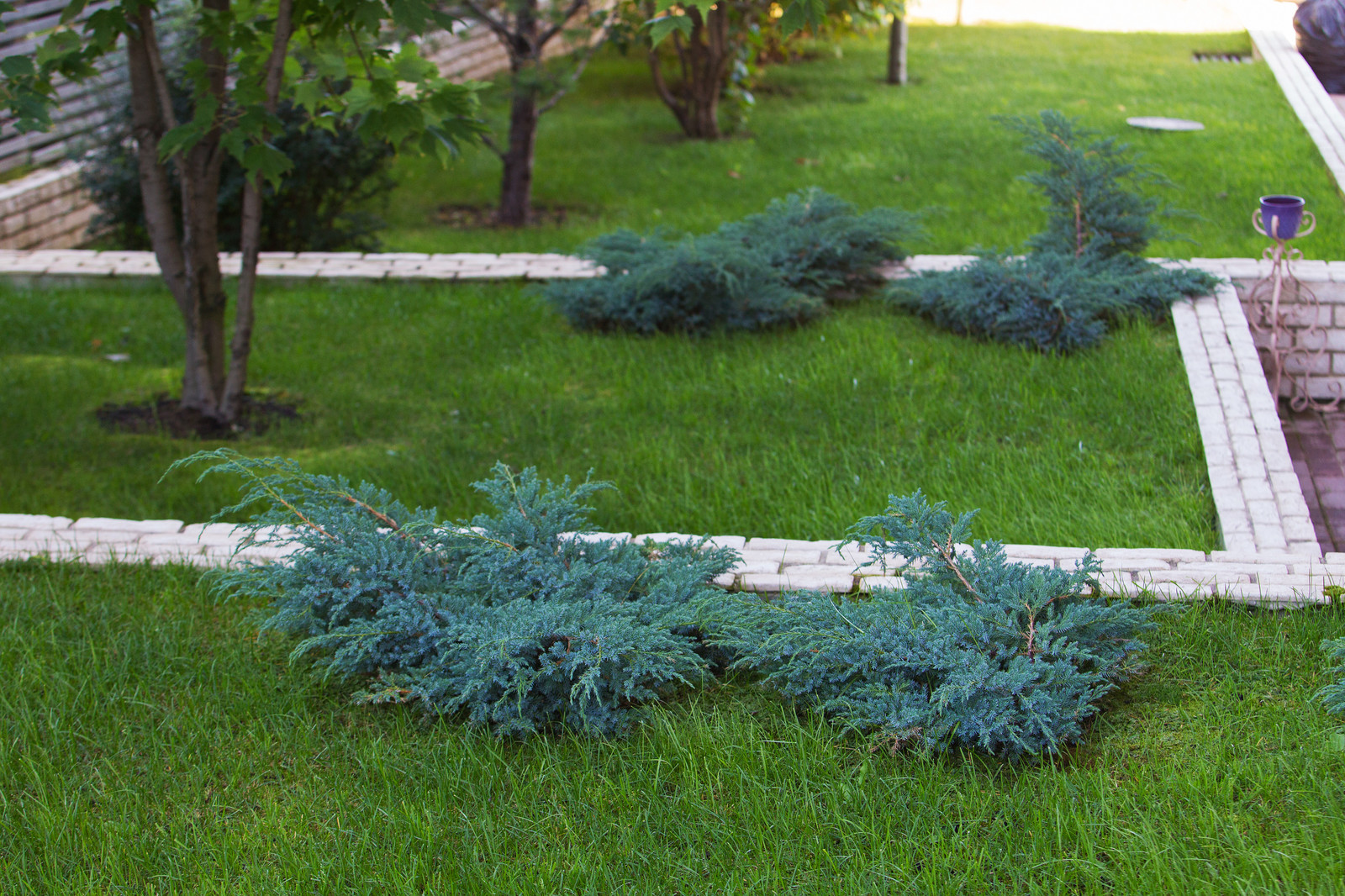 Сад на Пятницком шоссе.  Дизайнер Лариса Юрова