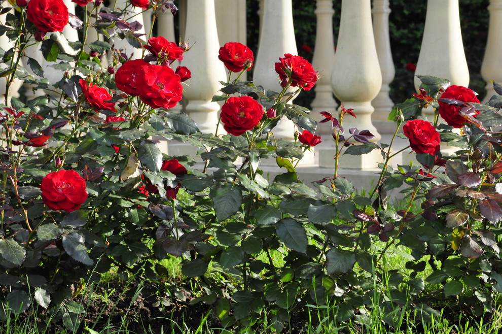 кп "Романово" - Уход за садом - 100% качество