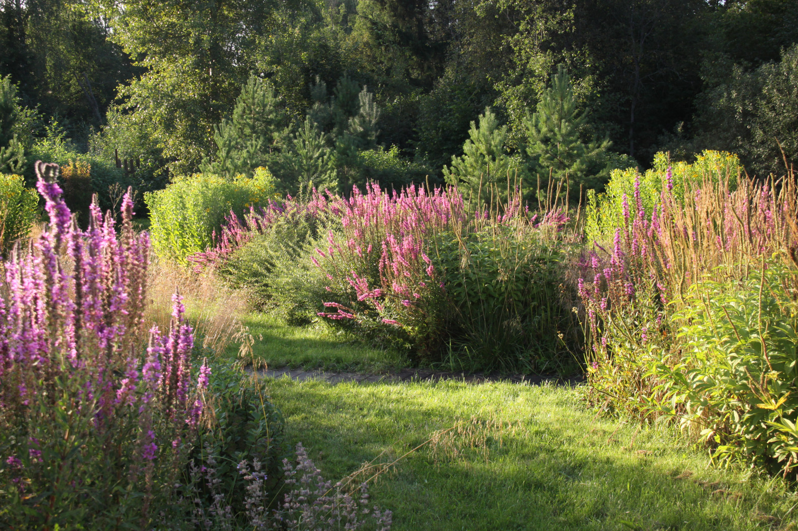 Сад "Три плюс два"