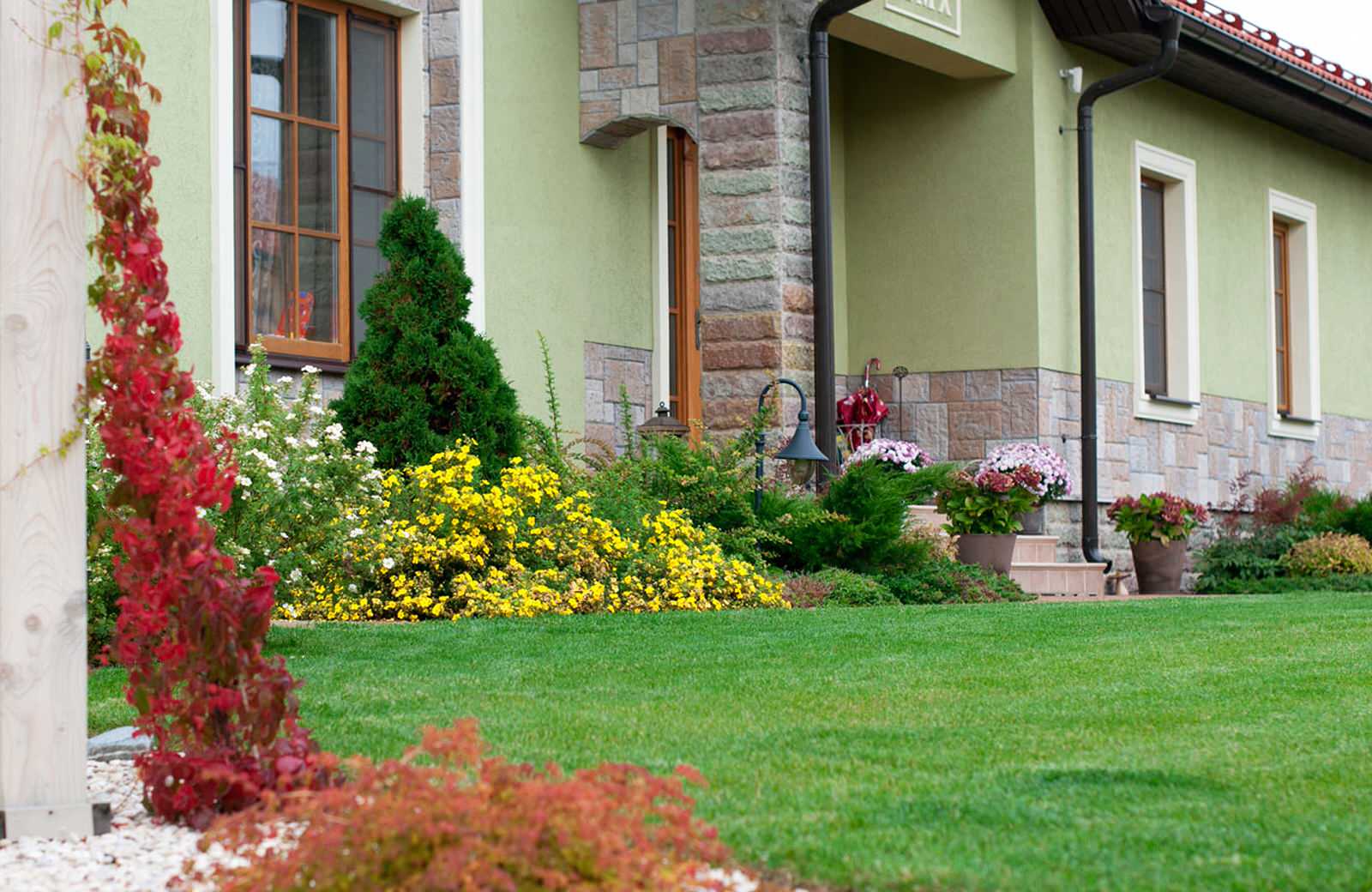 Обложка альбома: ландшафт