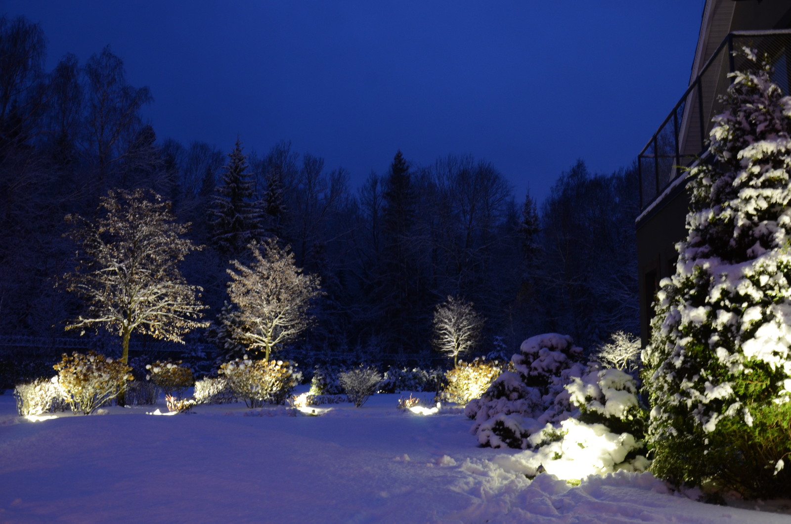 Вспоминая Нормандию КП Визендорф 2017 г