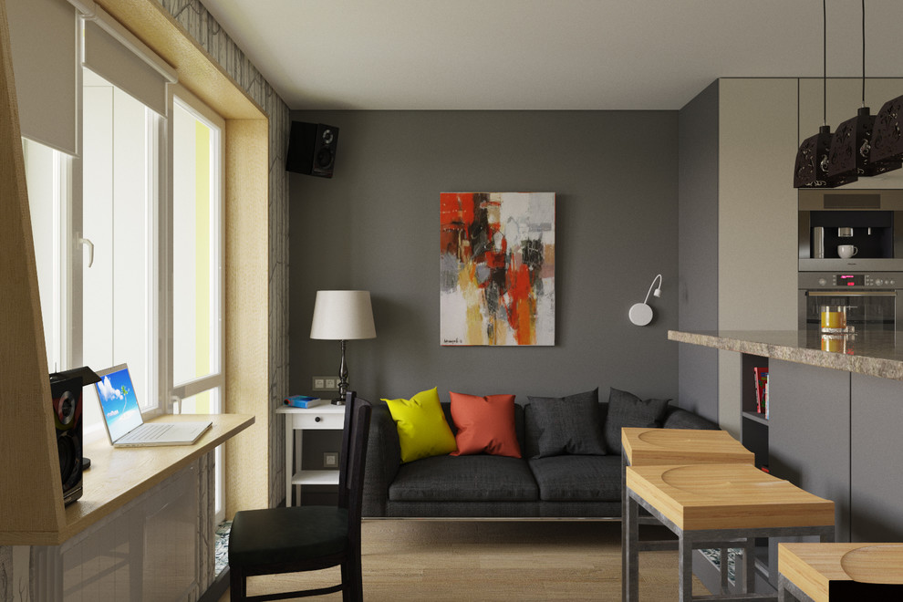 Студия для гостеприимного молодого холостяка