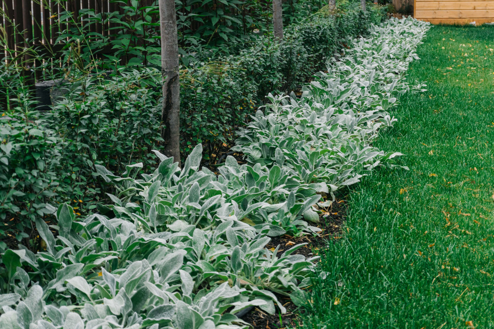 Сад в скандинавском стиле