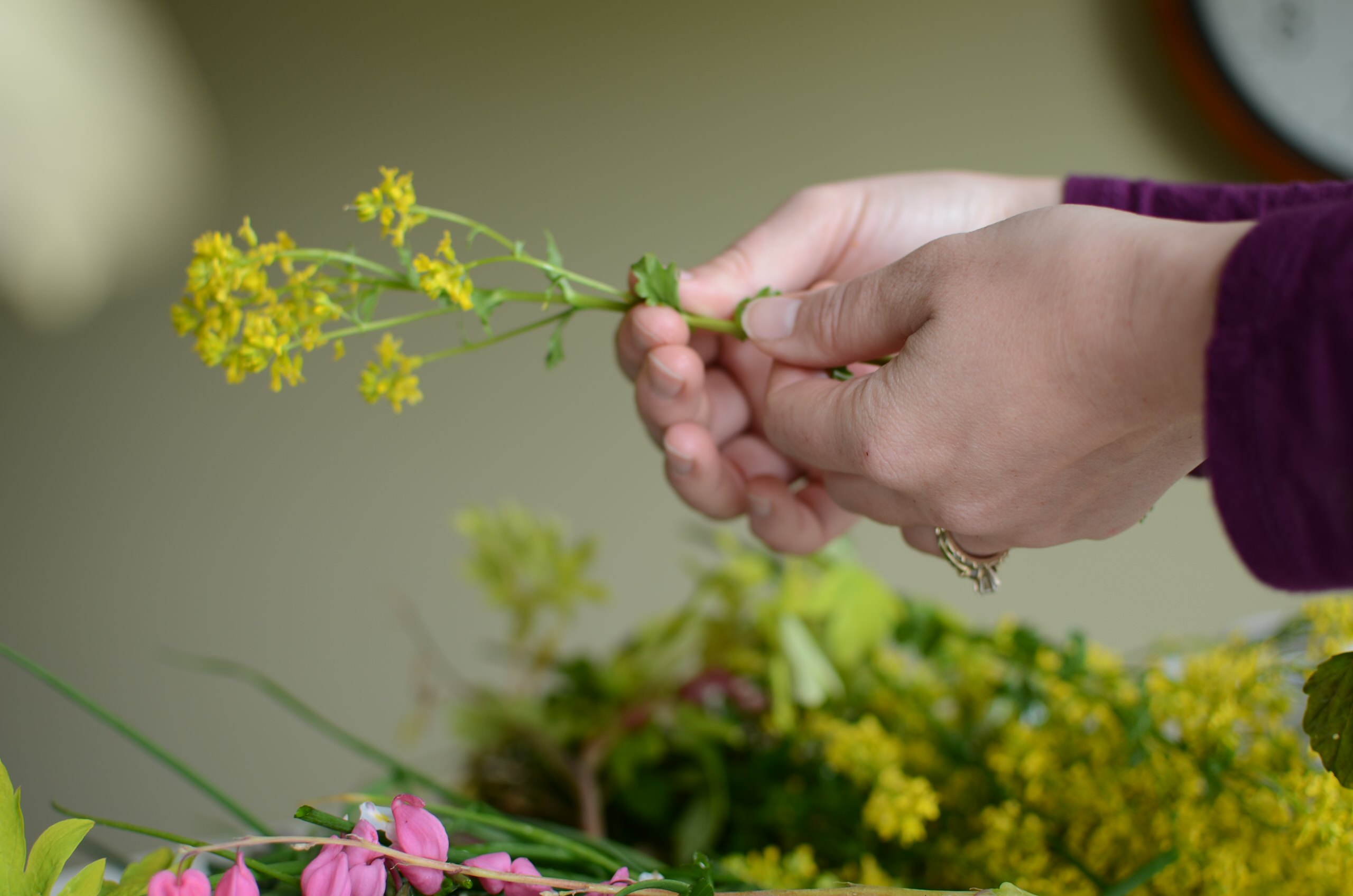 Своими руками: Как сделать гербарий – картину