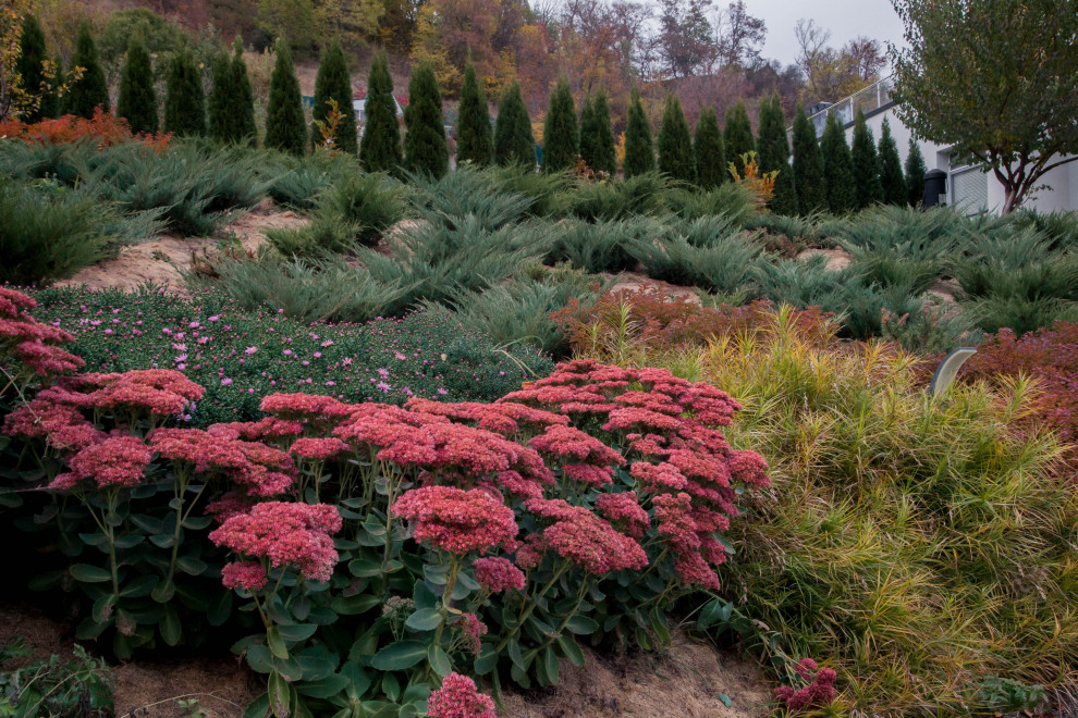 Обложка проекта: Сад на холмах - по мотивам Пита Удольфа.