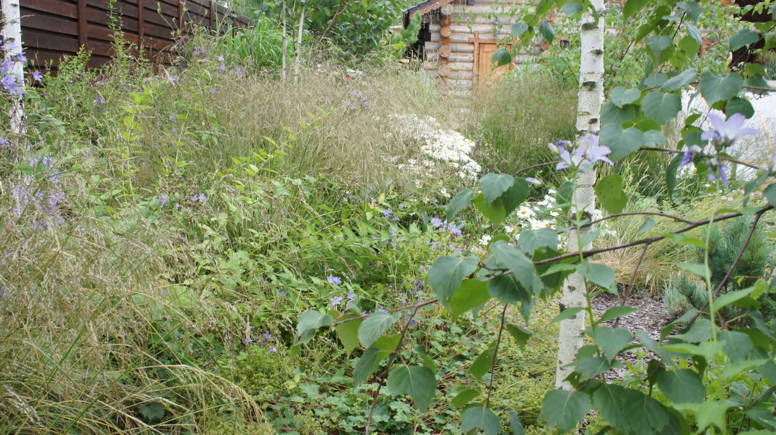 Прохорово лето 2017