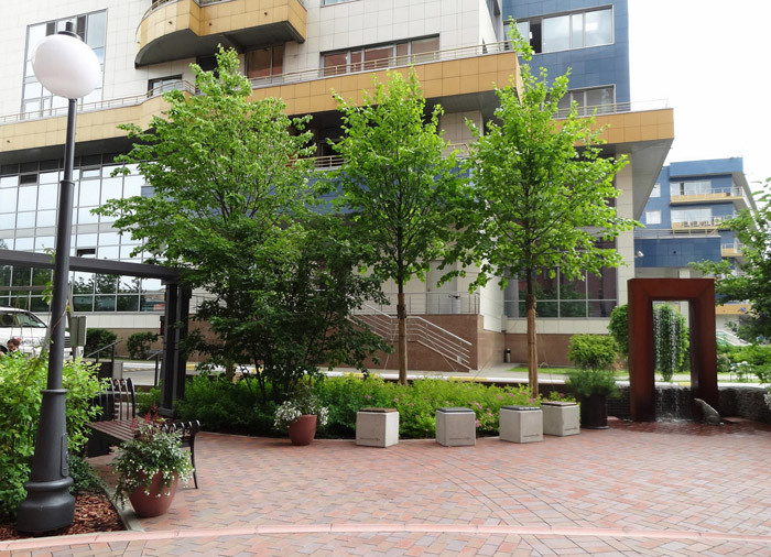 Парк ДК Новоспасский