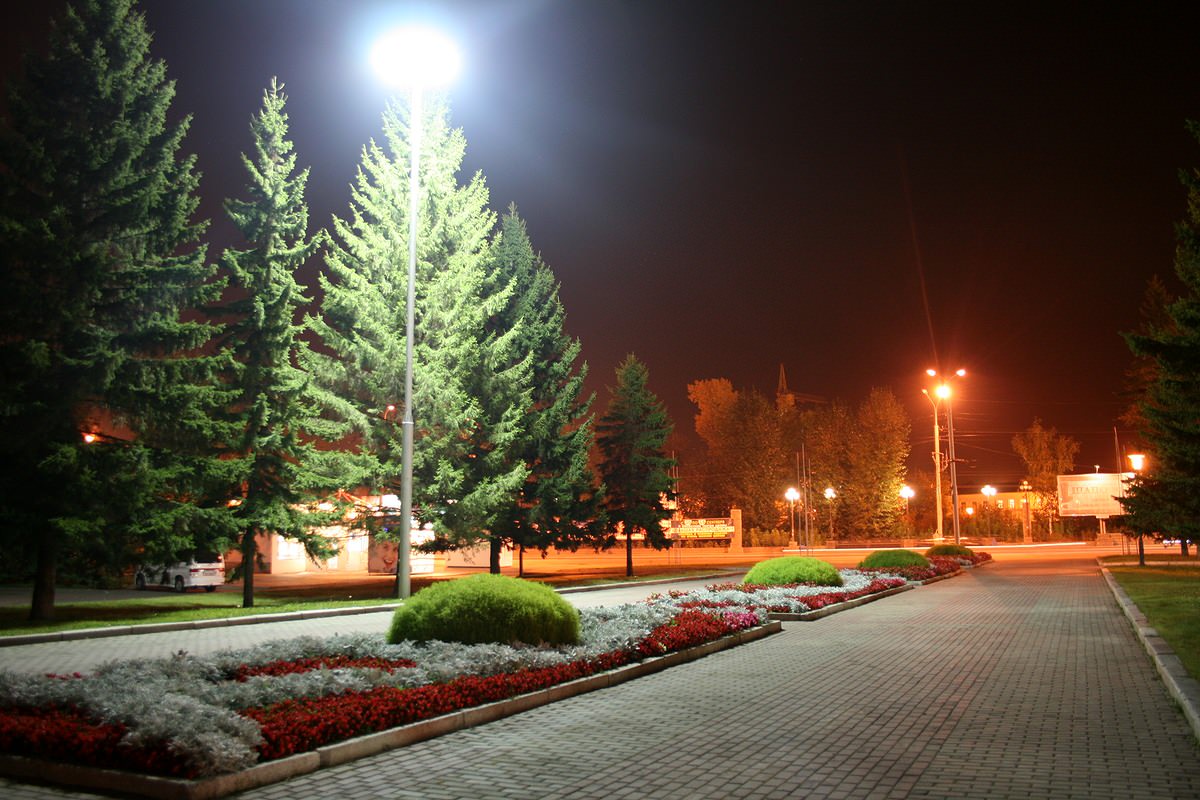 Обложка альбома: Ошибки в наружном освещении, ландшафтное освещение