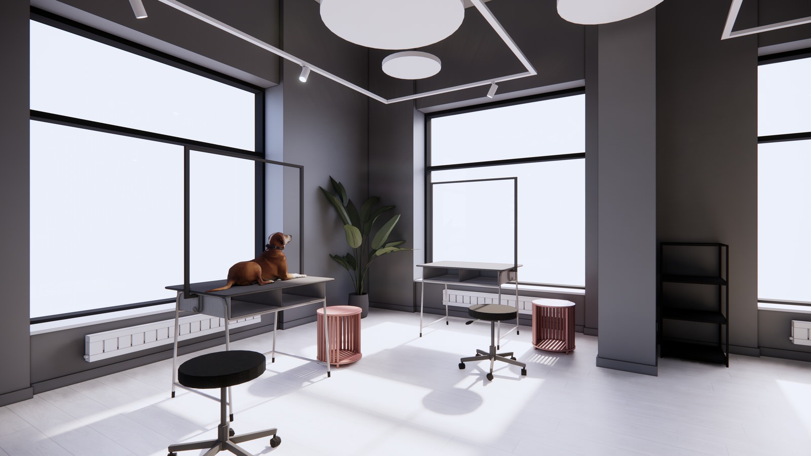 Зоосалон PETLAND