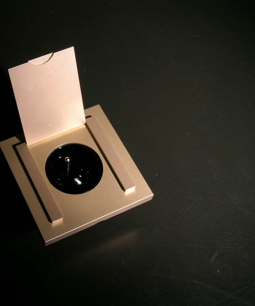 Дина Сафронова