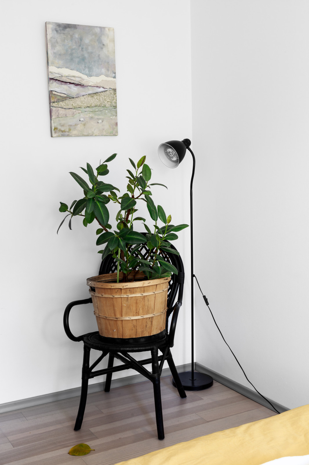 Реабилитация Хрущевки