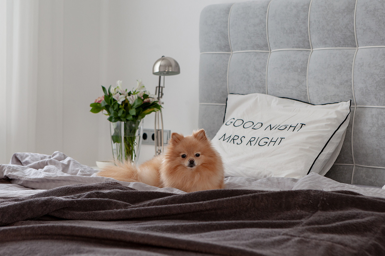 Квартира в ЖК "Невский"