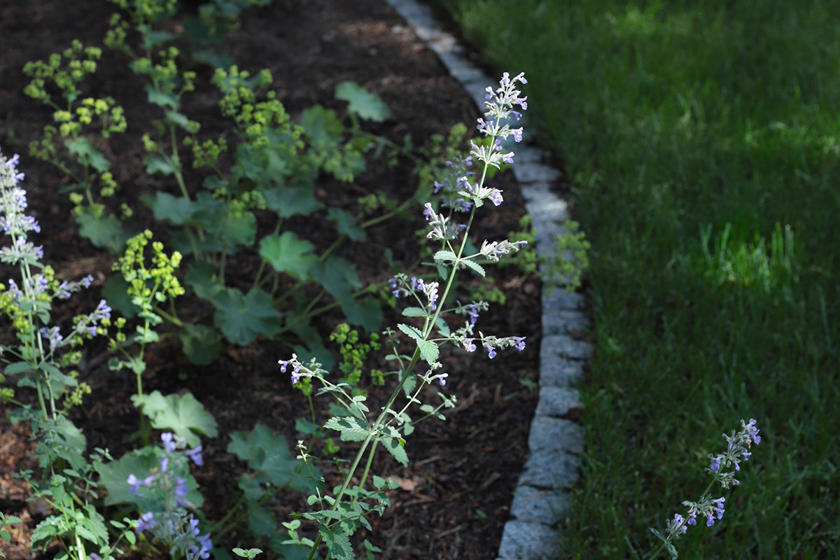 Солнечный берег