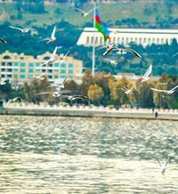 Карим Расулов