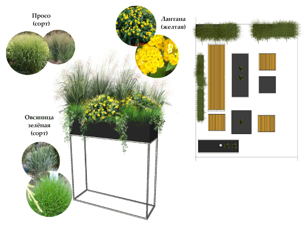 Озеленение летних веранд ресторанов