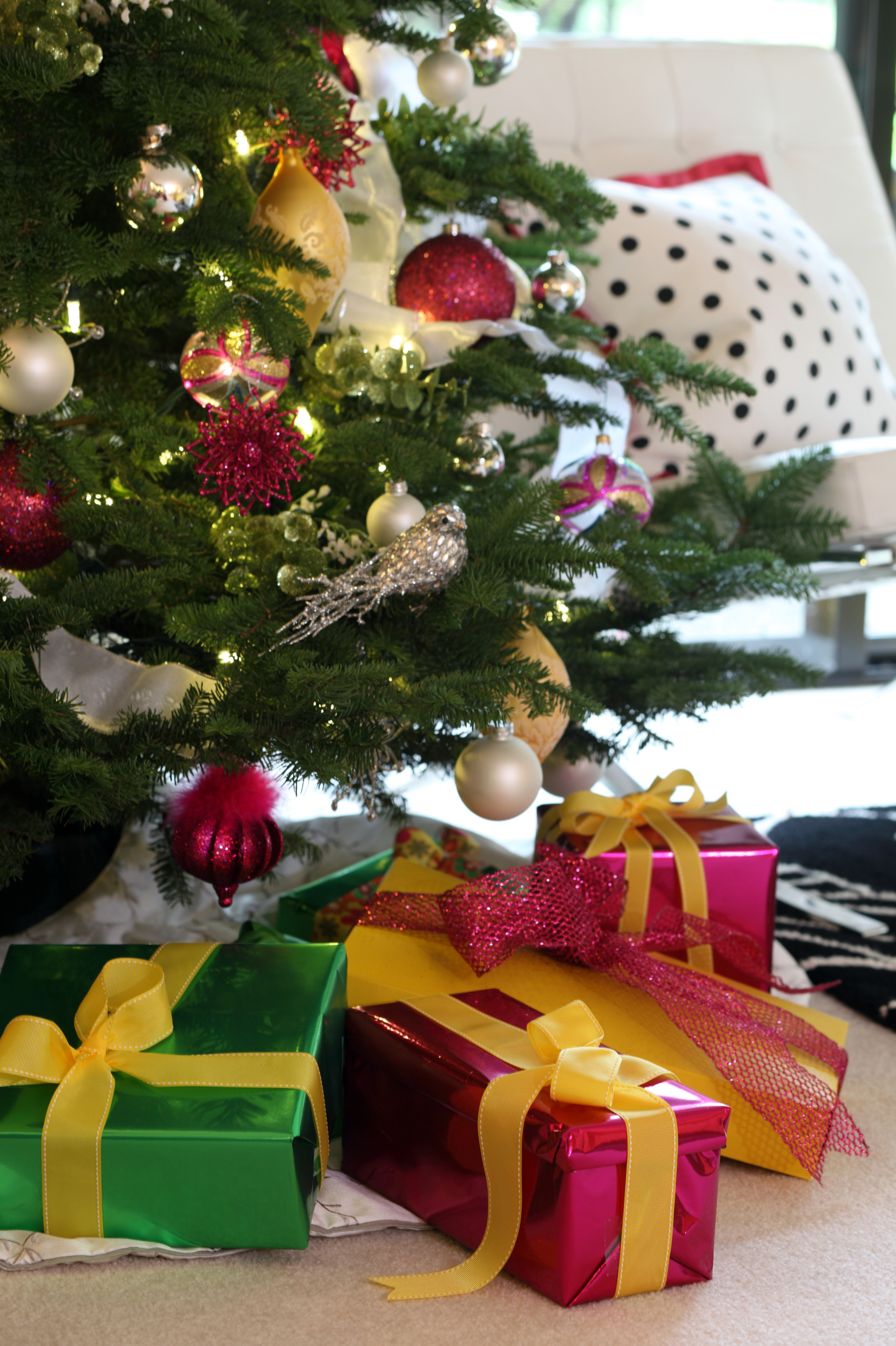 Новогодняя ель в горшке: Можно ли сохранить ее до весны