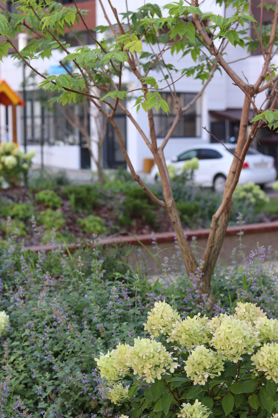 ЖК "Европейский"