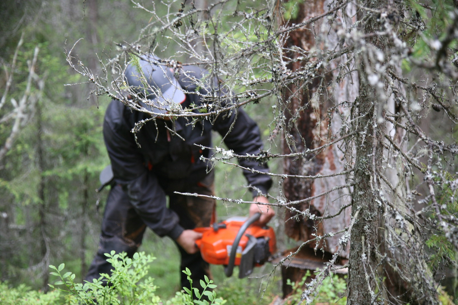 Производство и заготовка