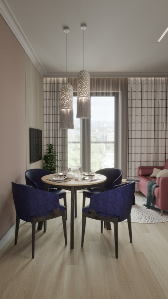 Проект однокомнатной квартиры для молодой девушки