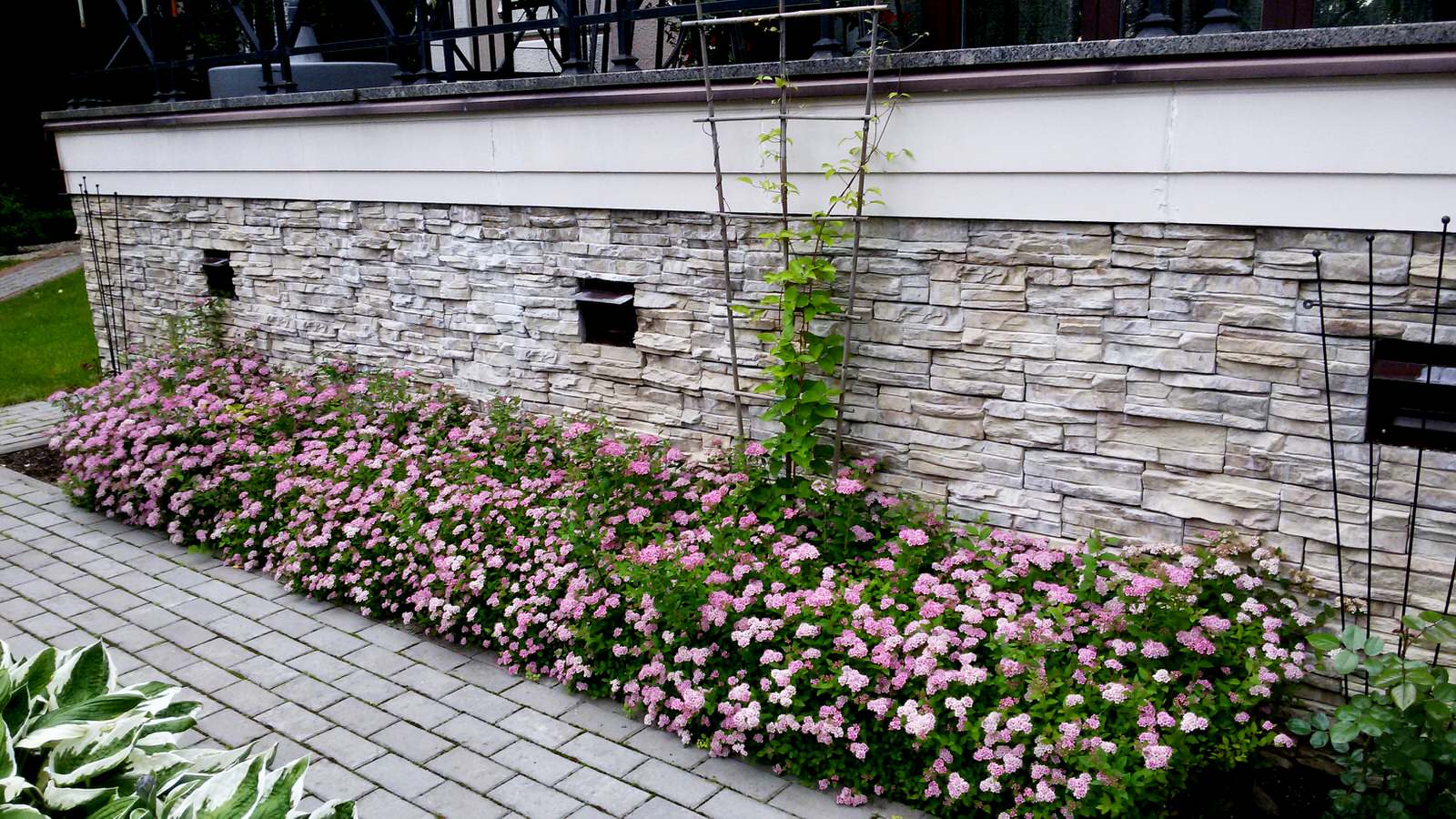 Цветущая живая изгородь вдоль цоколя. Ширина траншеи 40см