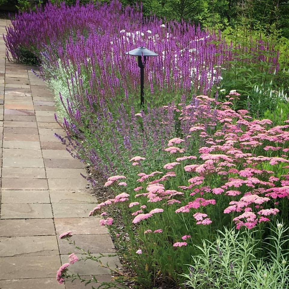 Миксбордеры из многолетников